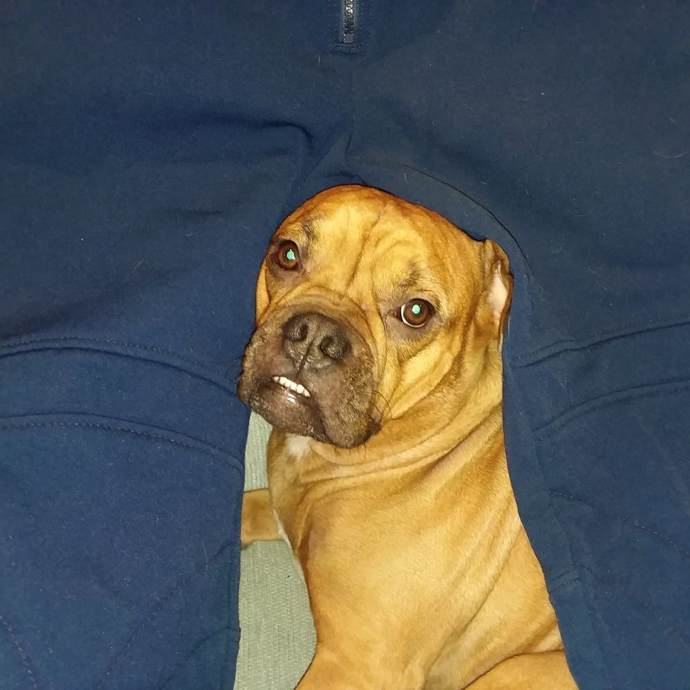 Meet your Posher, Beverly